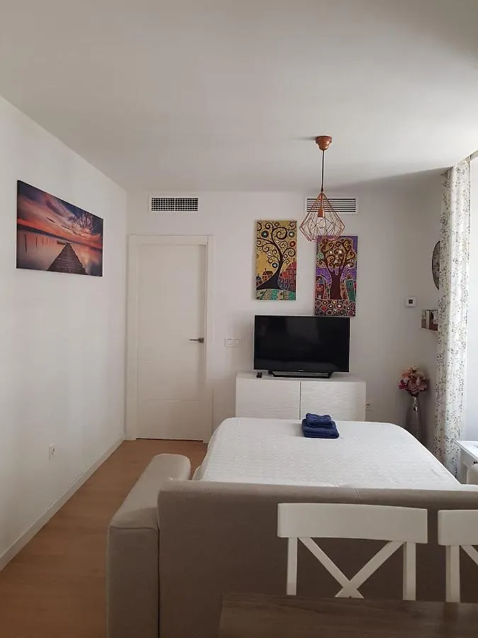 Apartamento Plaza Del Teatro Parking Free Malaga